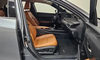 UX250h