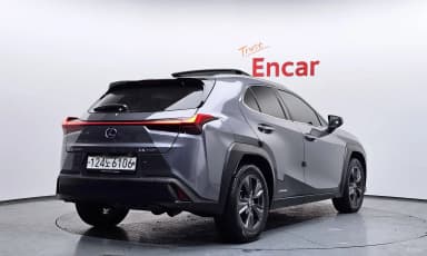 UX250h