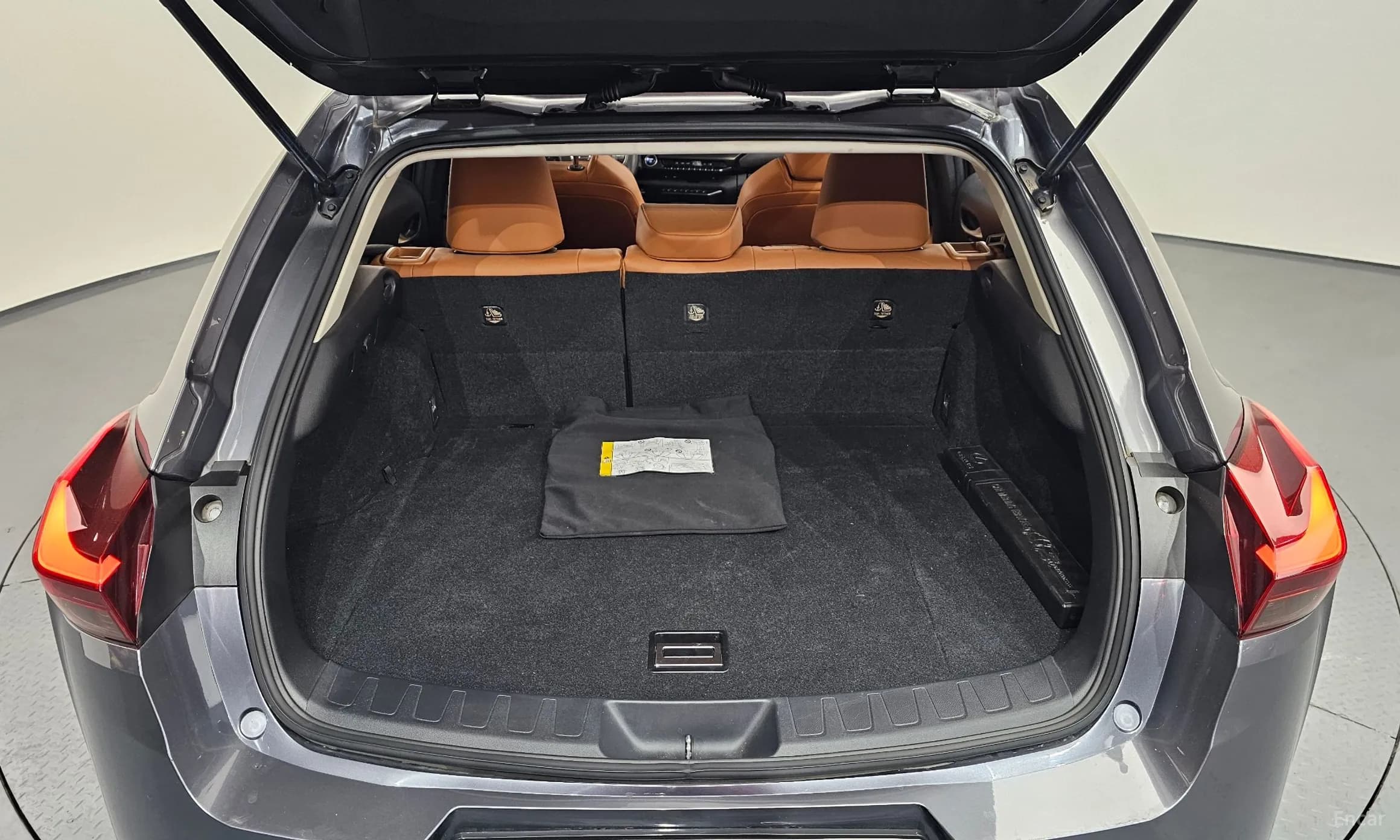 UX250h