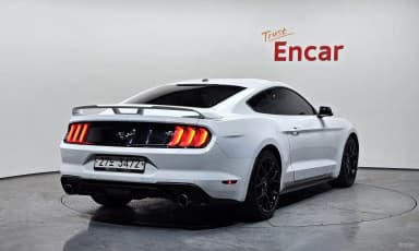 Mustang