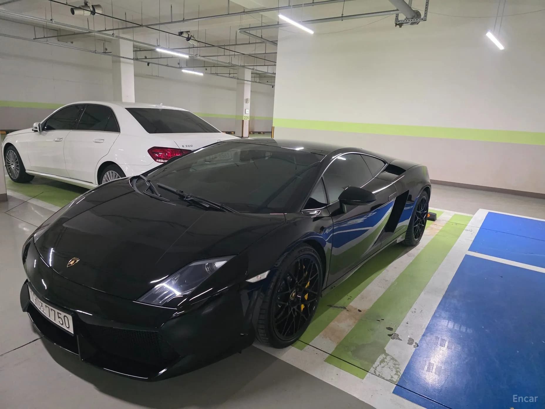 GALLARDO