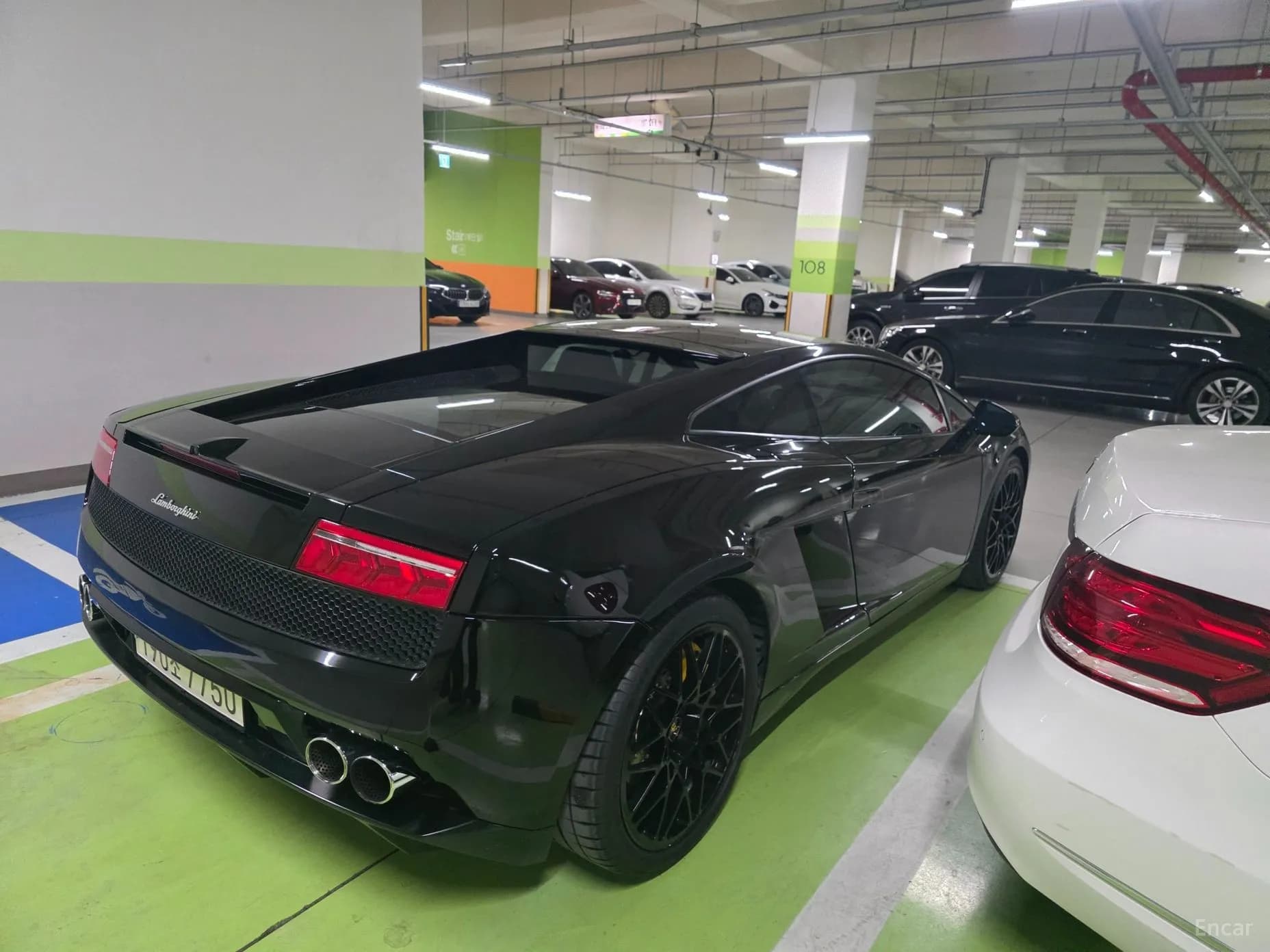 GALLARDO