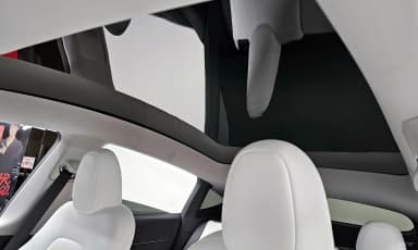 Model Y