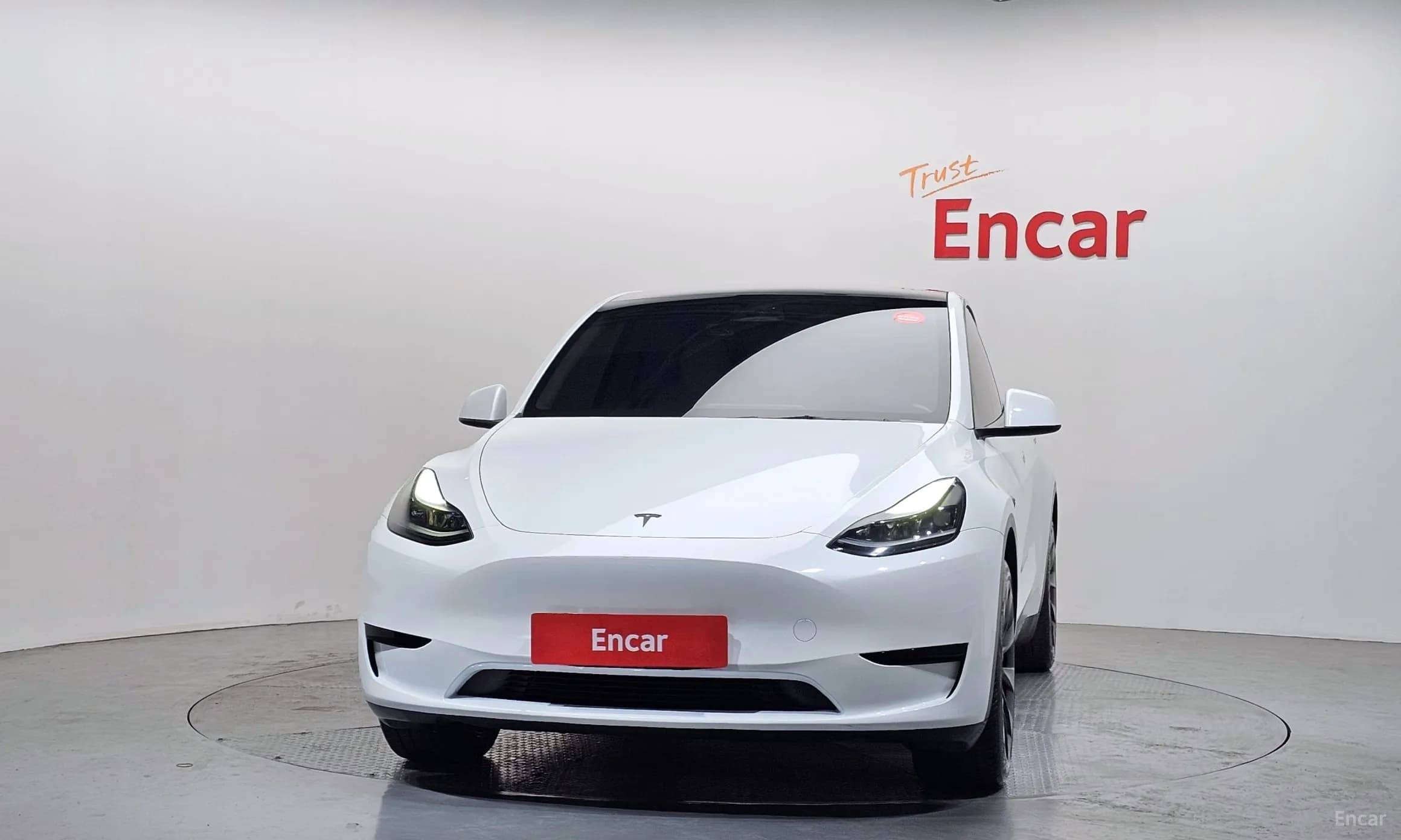 Model Y