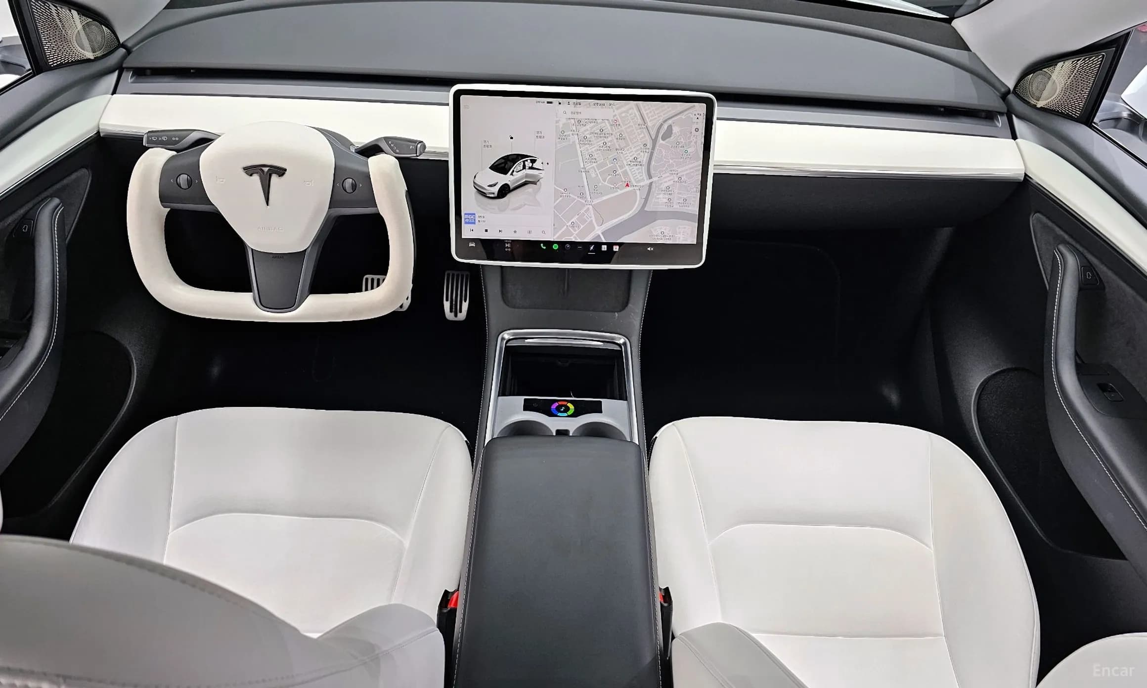 Model Y