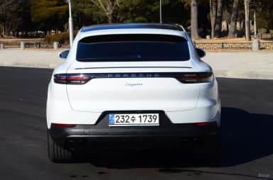 Cayenne (PO536)
