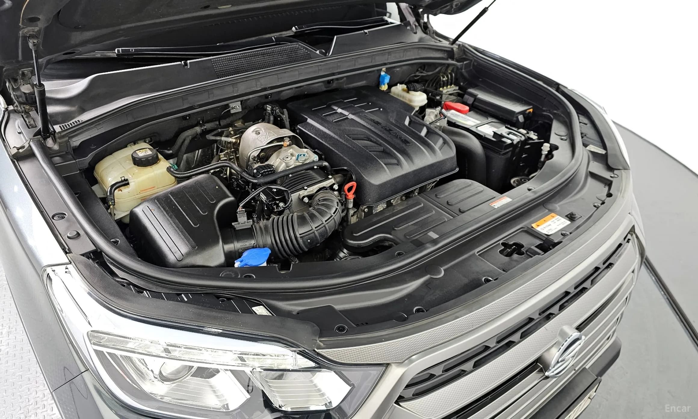 Rexton Sports