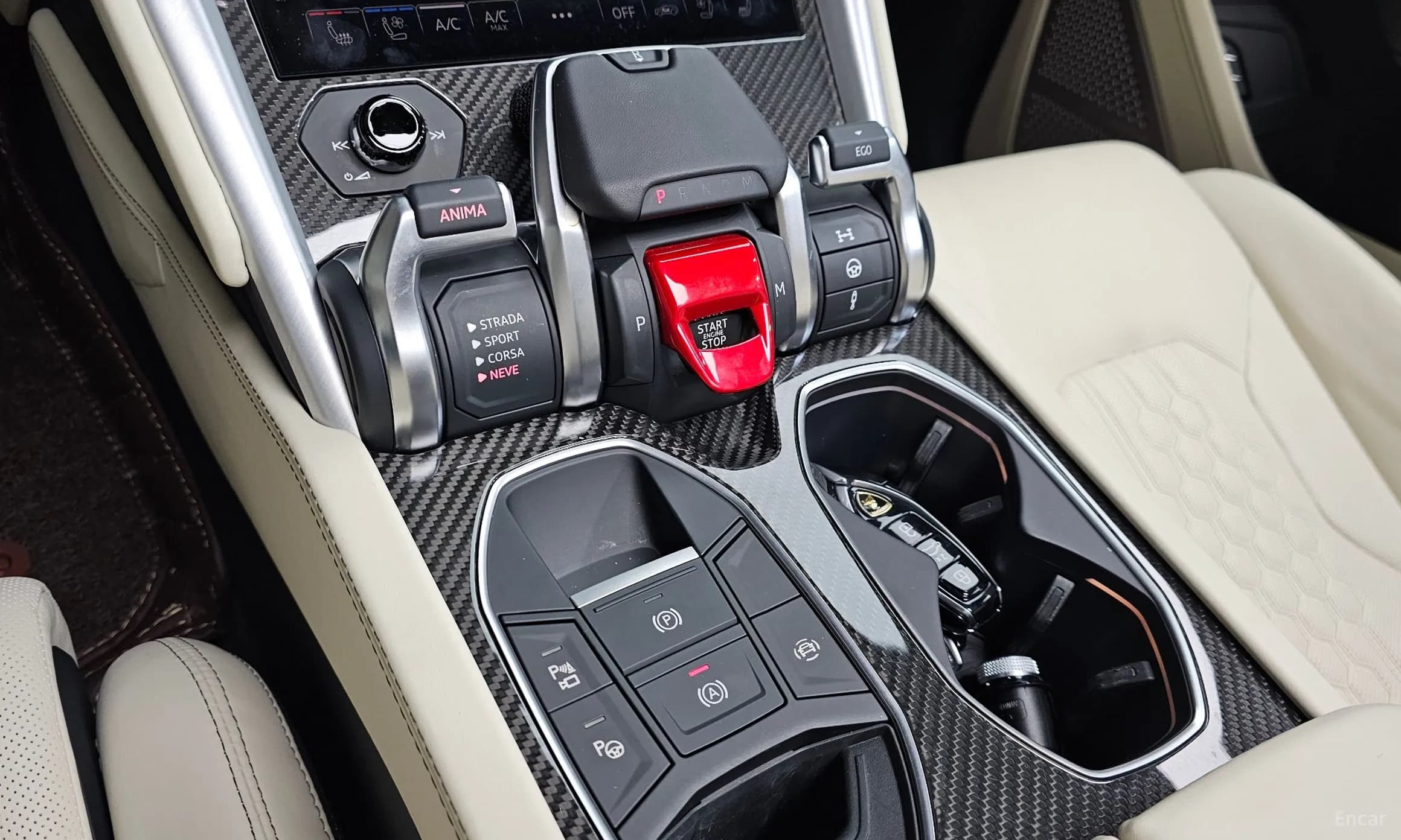 Urus