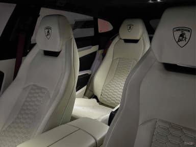 Urus
