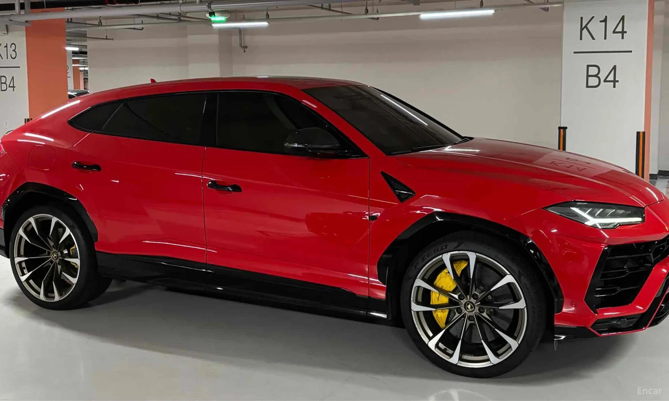 Urus