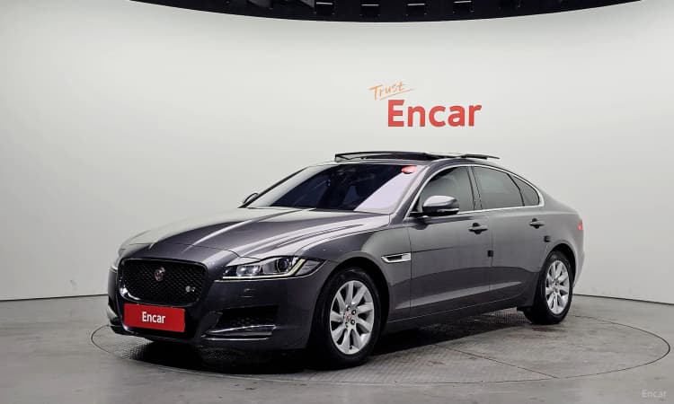 XF (x260)
