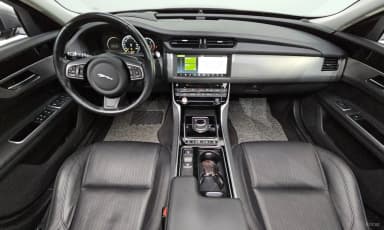 XF (x260)