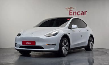 Model Y