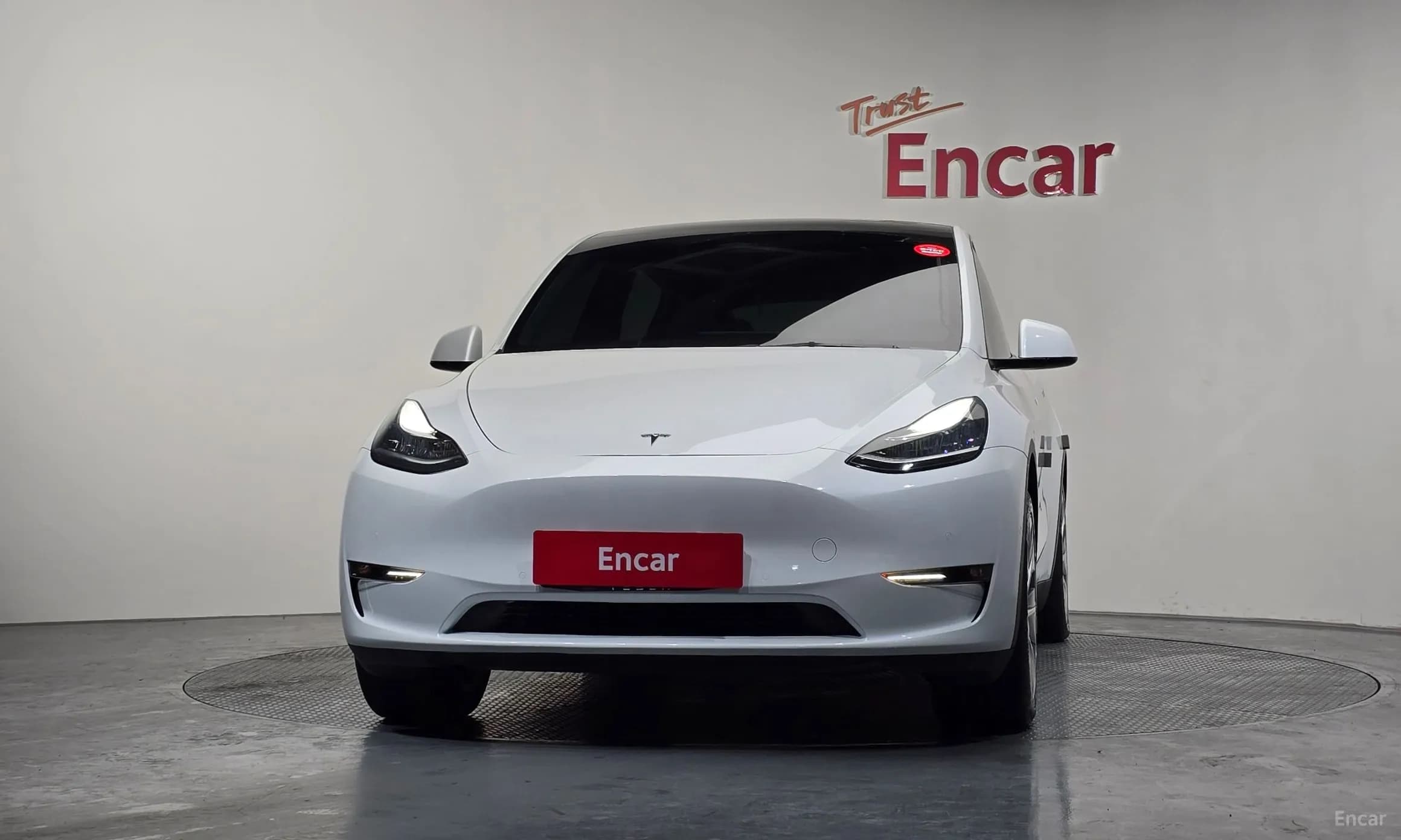 Model Y