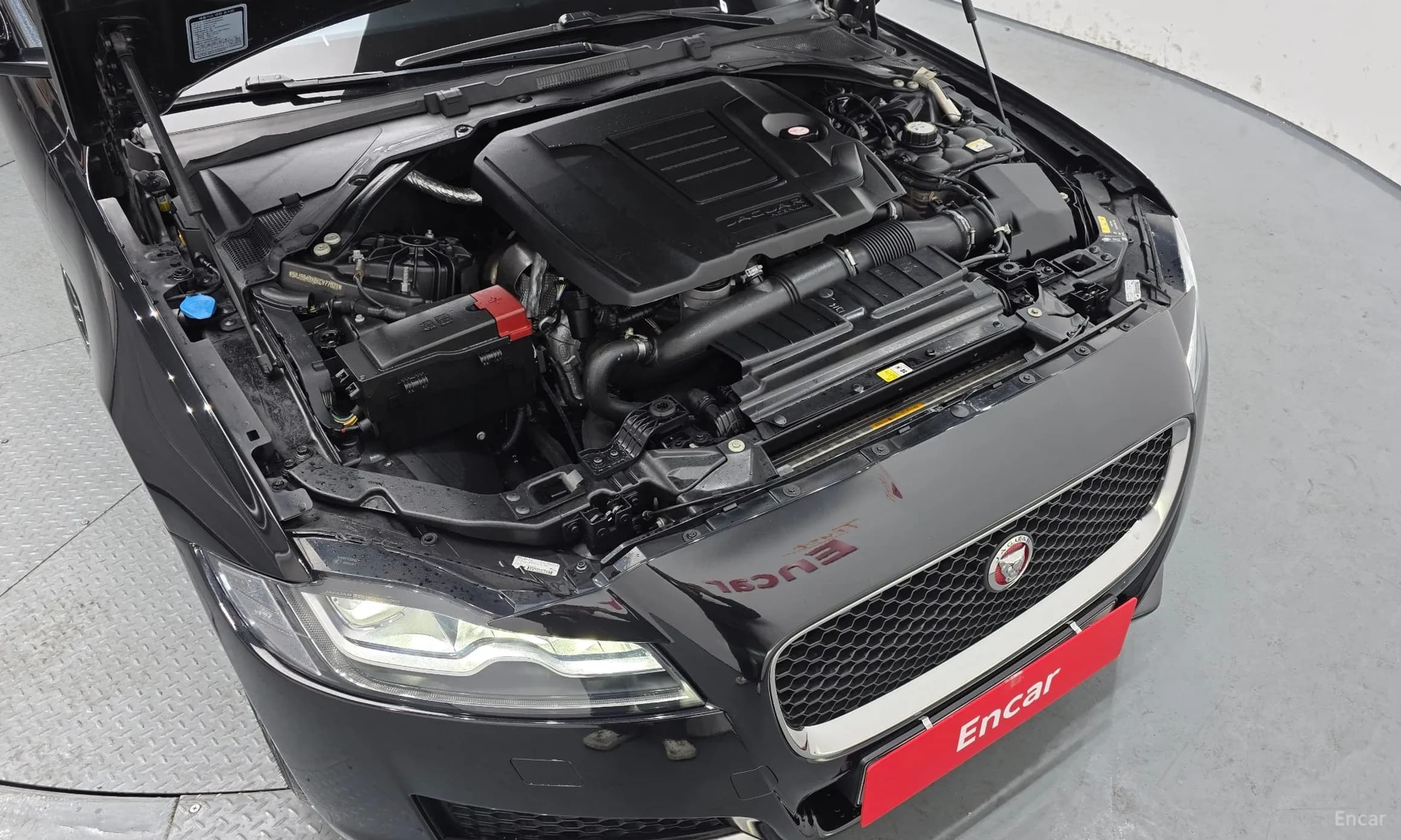 XF (x260)