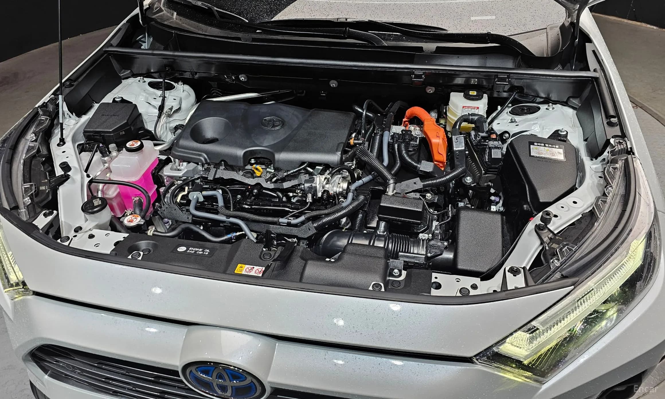 RAV4 5th Generation