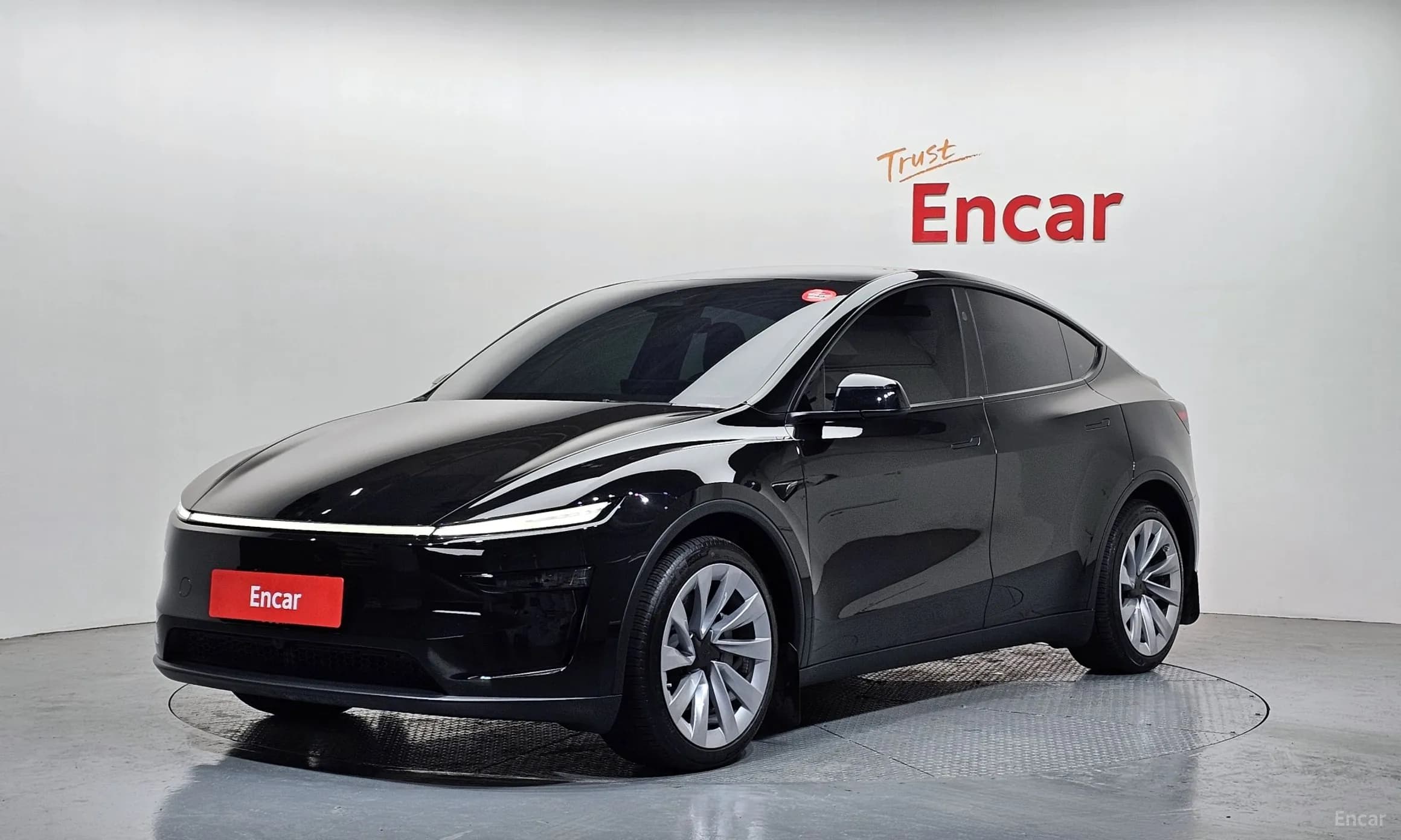 Model Y
