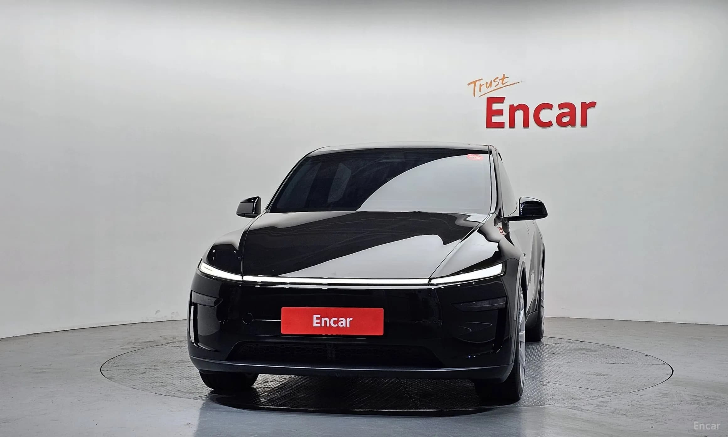 Model Y