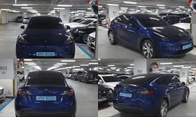 Model Y