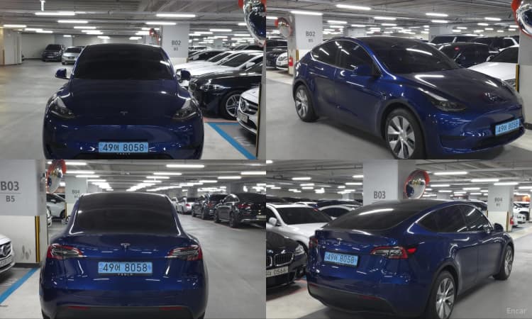 Model Y