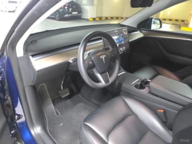 Model Y