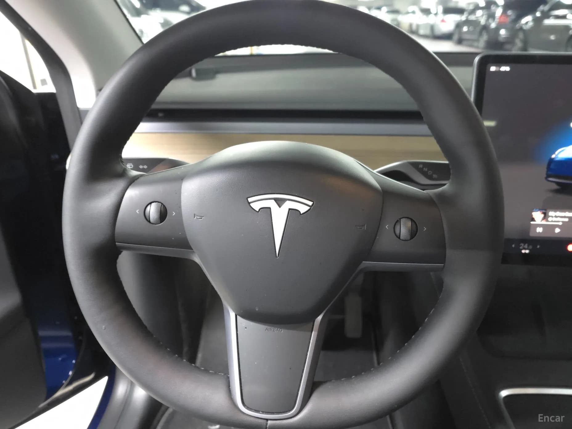 Model Y