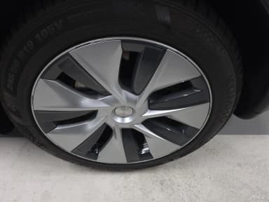 Model Y