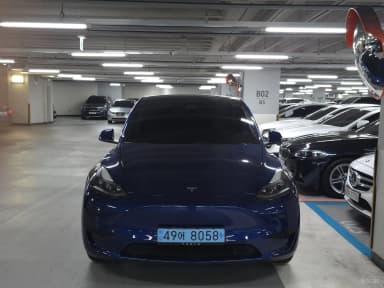 Model Y