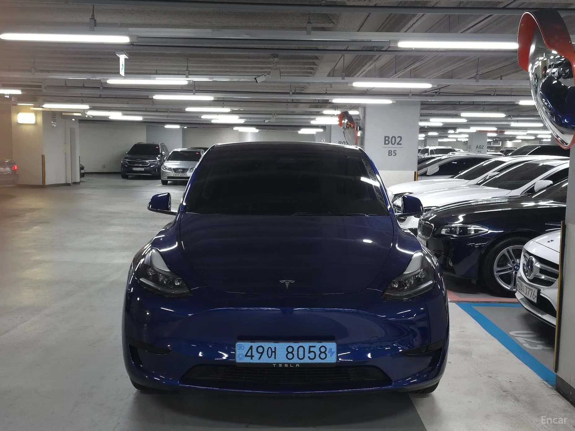 Model Y