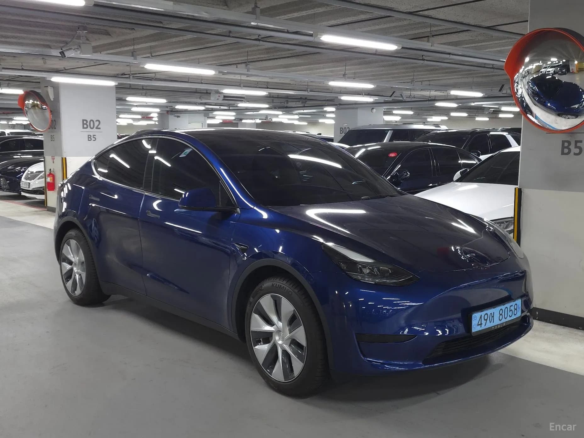 Model Y