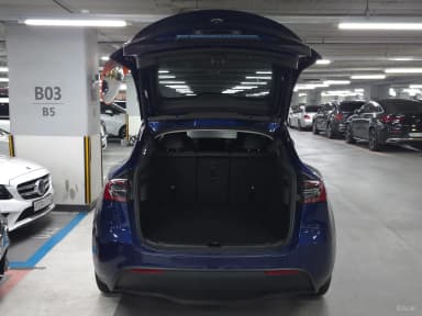 Model Y