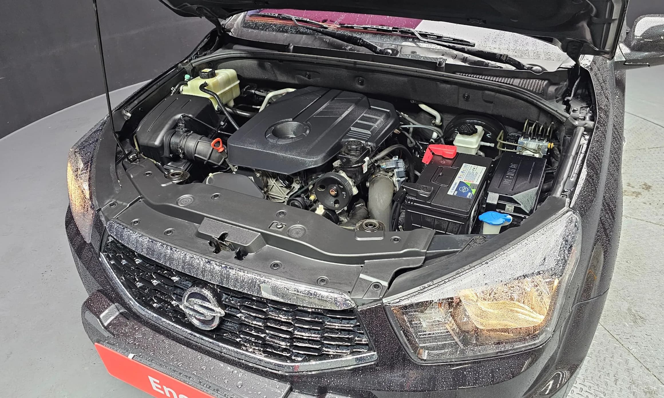 Korando Sports