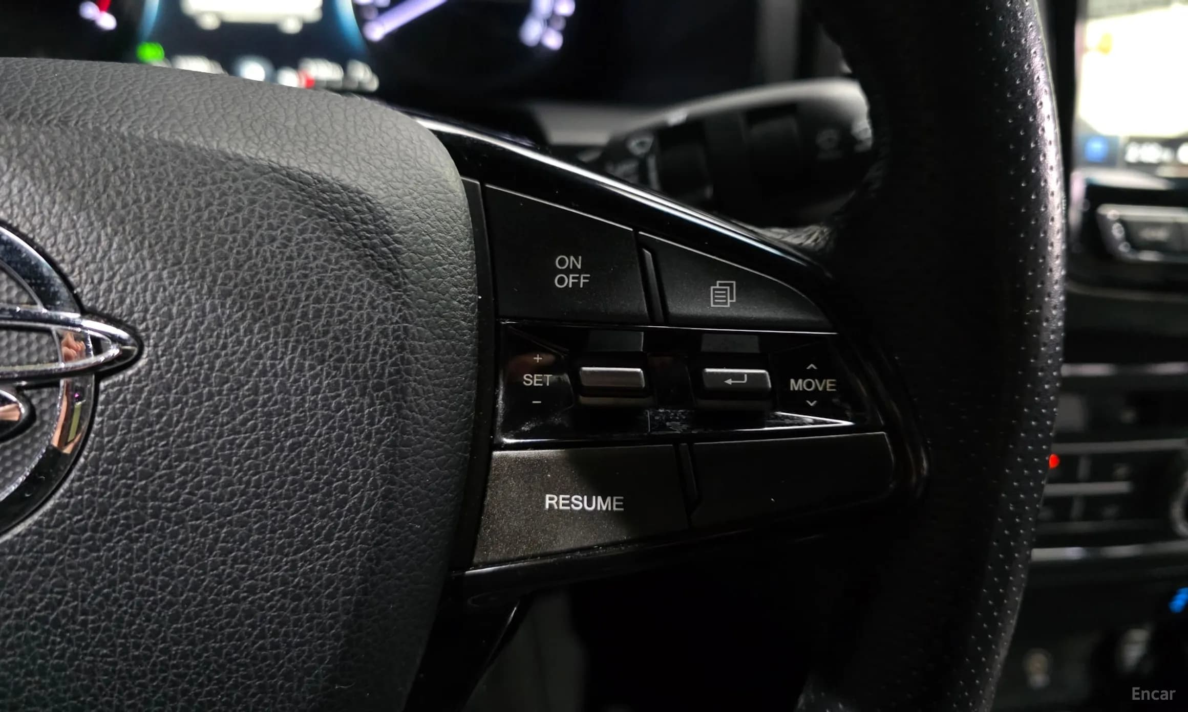 Rexton Sports