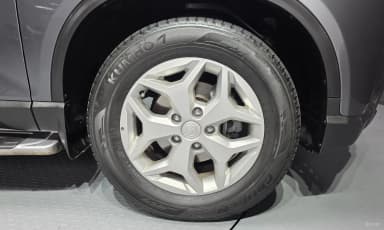 Rexton Sports