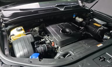Rexton Sports