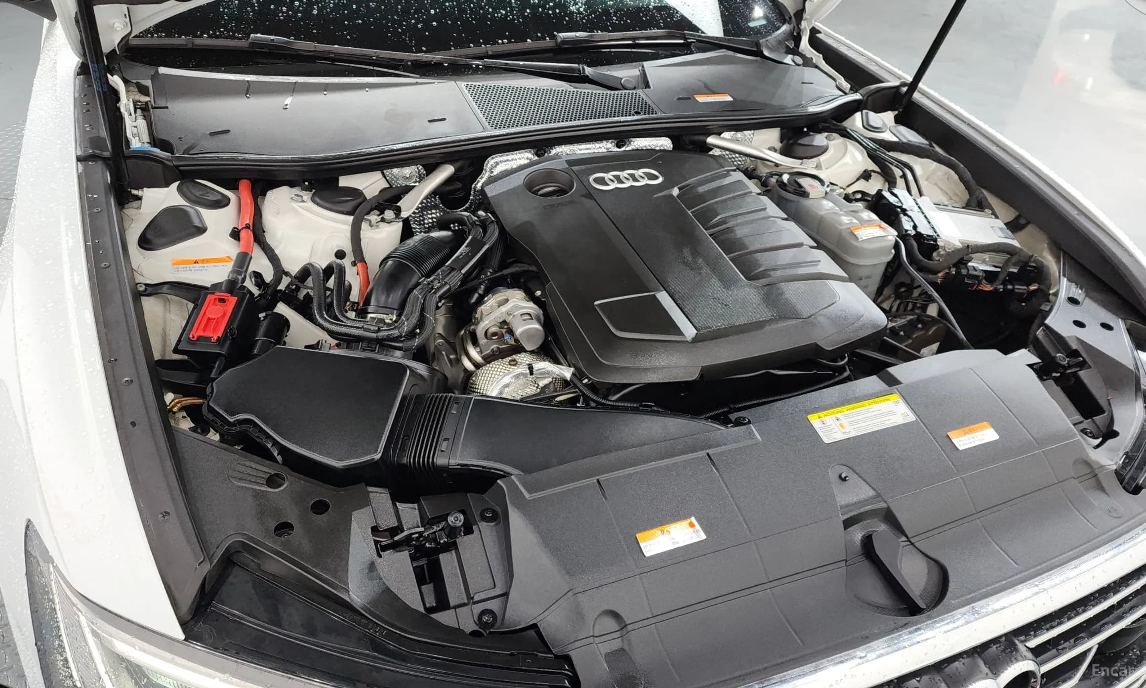 A6 (C8)
