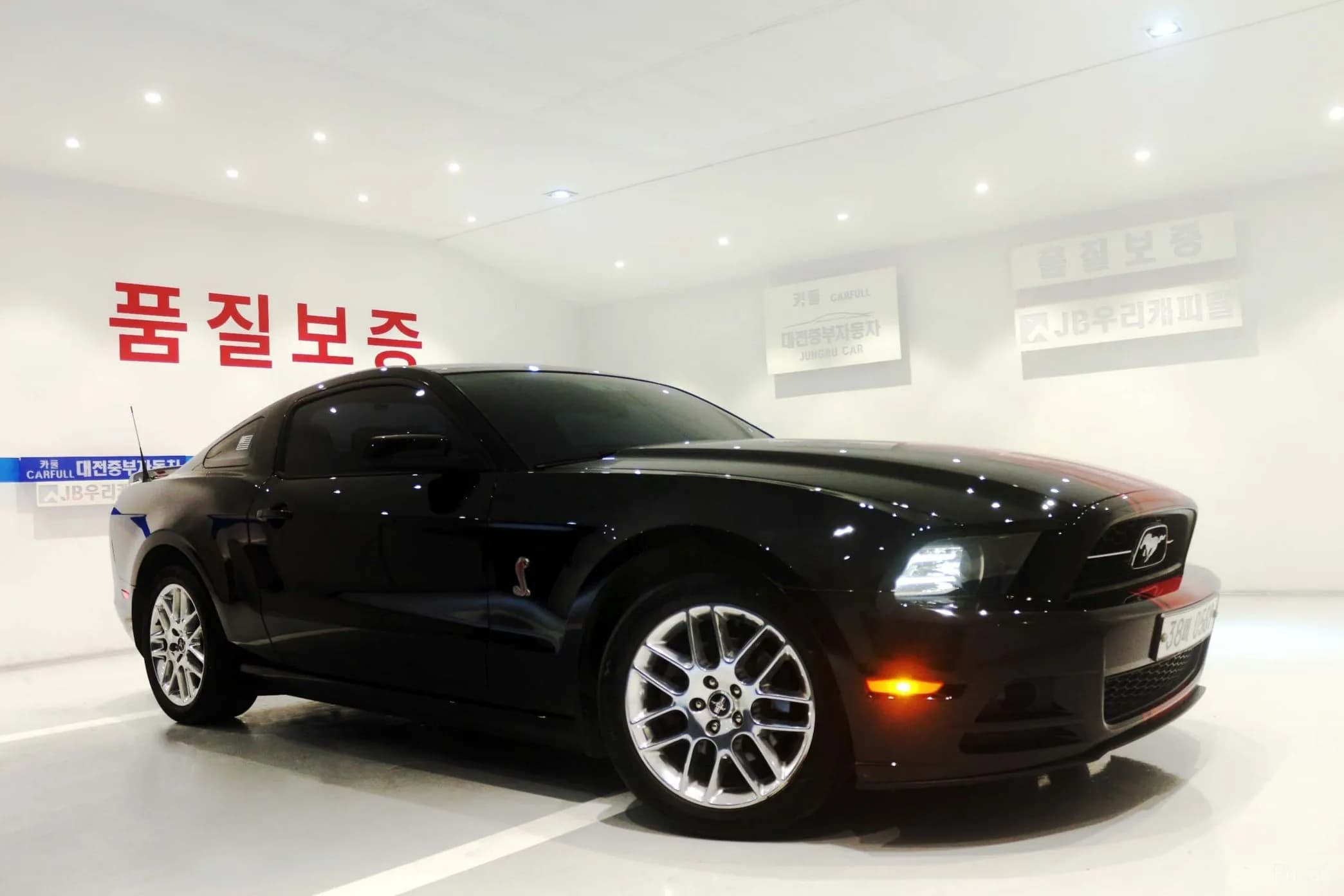 Mustang