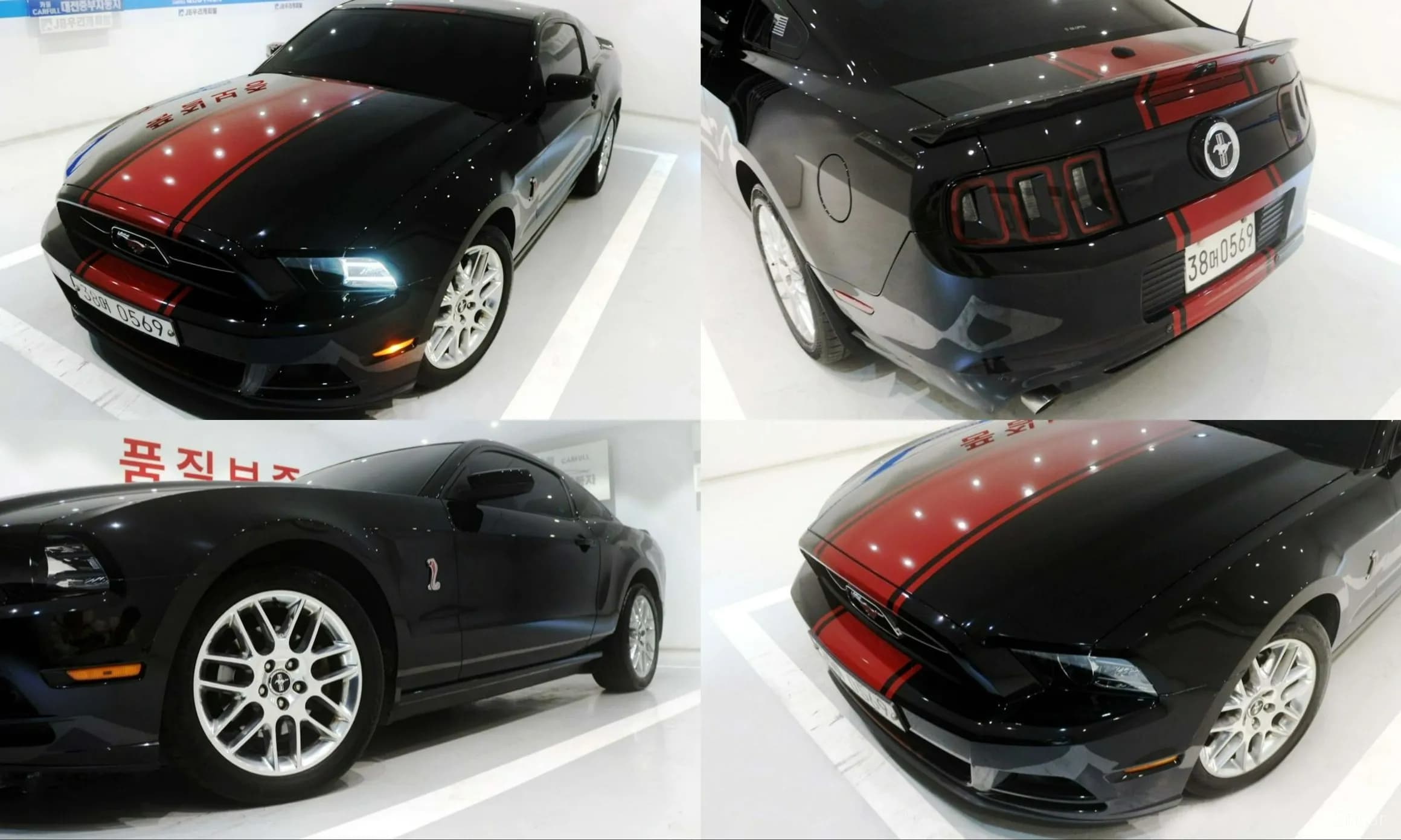 Mustang
