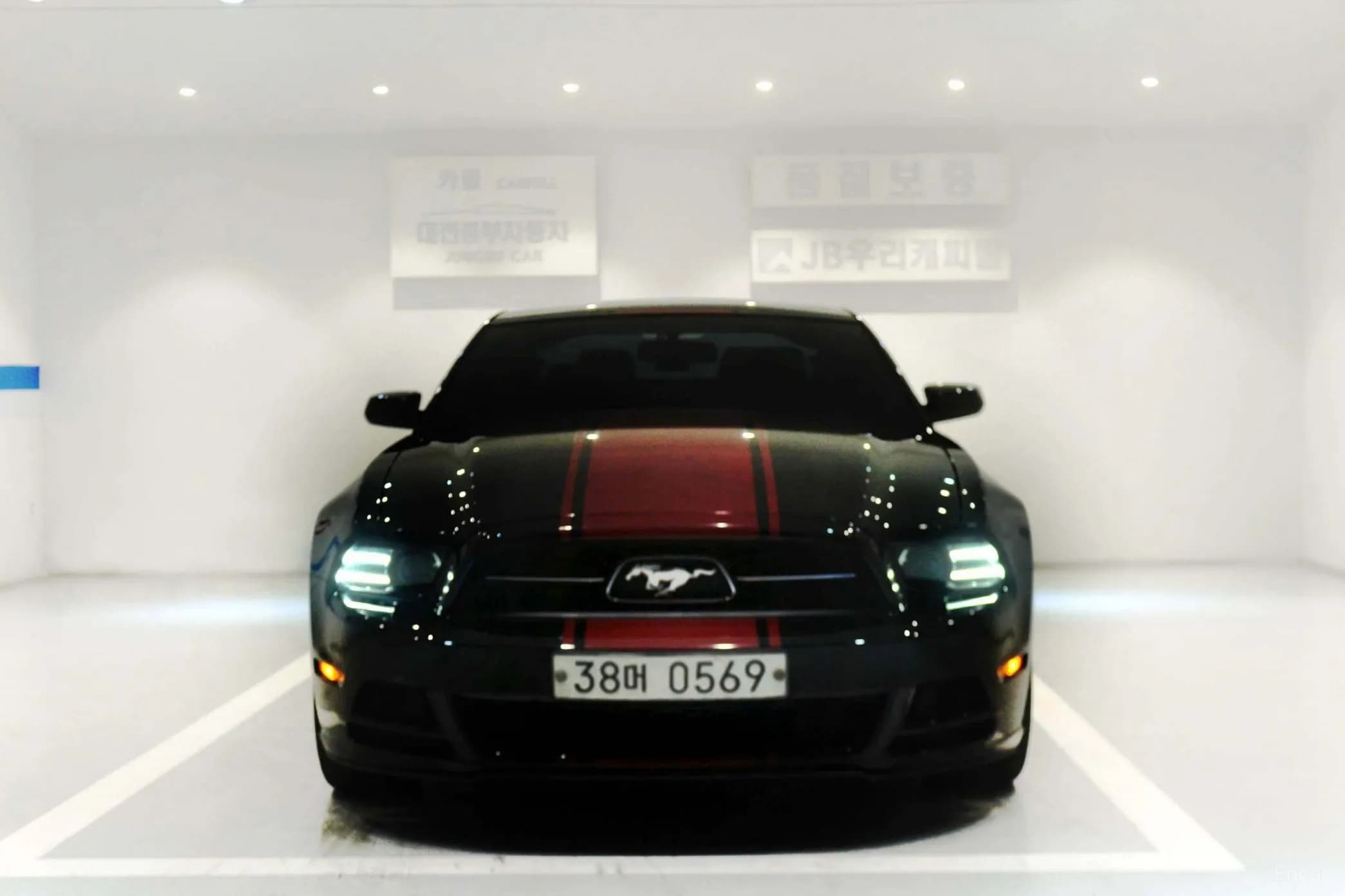 Mustang