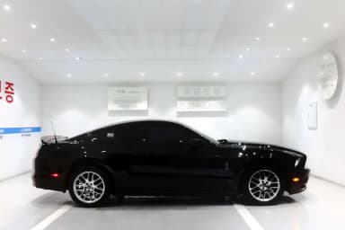Mustang