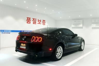 Mustang