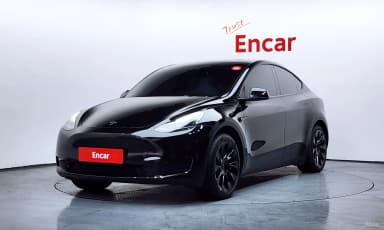 Model Y