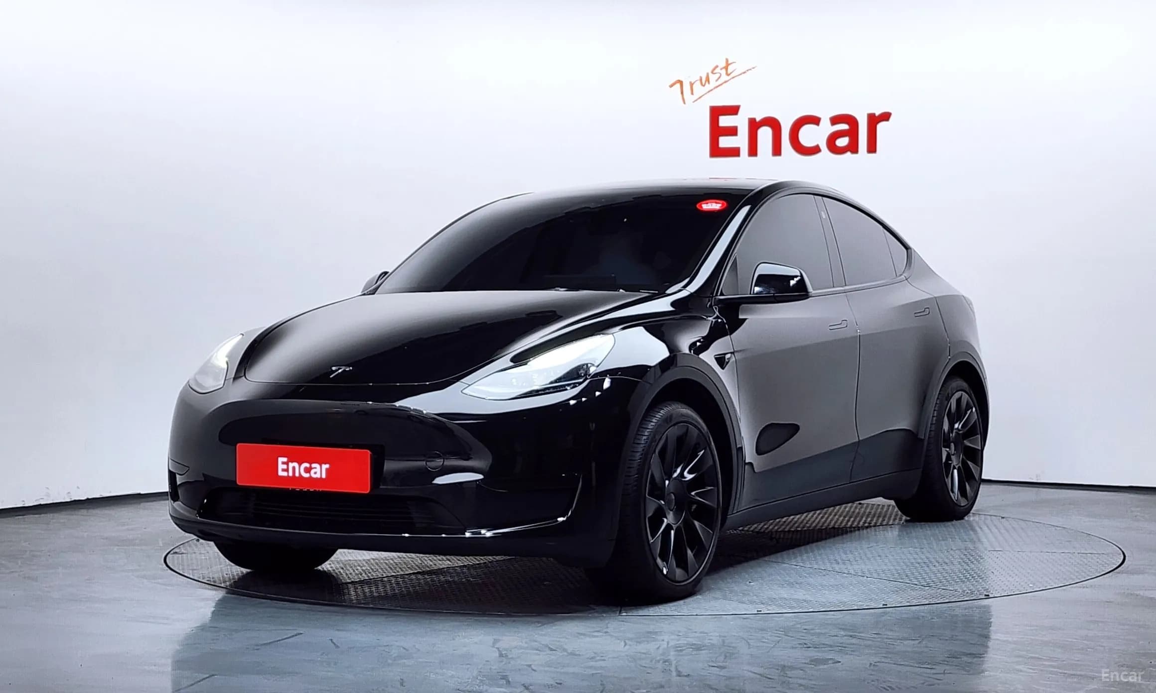 Model Y