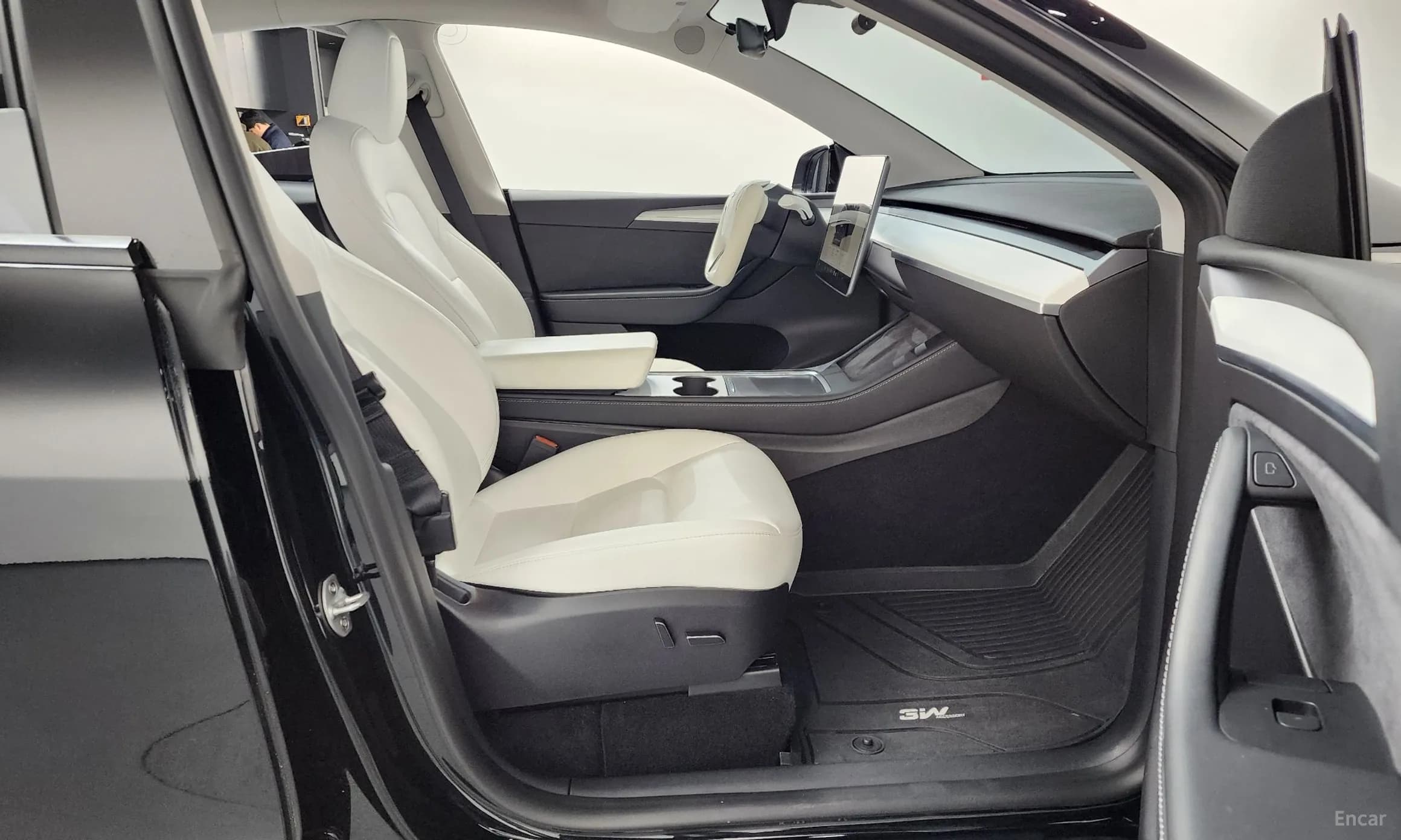 Model Y
