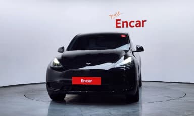 Model Y
