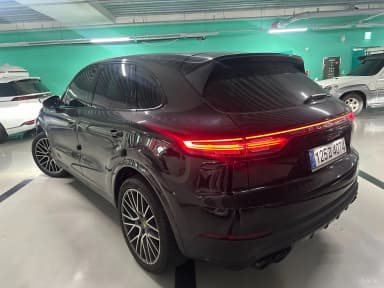 Cayenne (PO536)