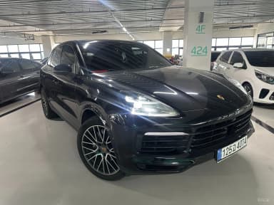 Cayenne (PO536)
