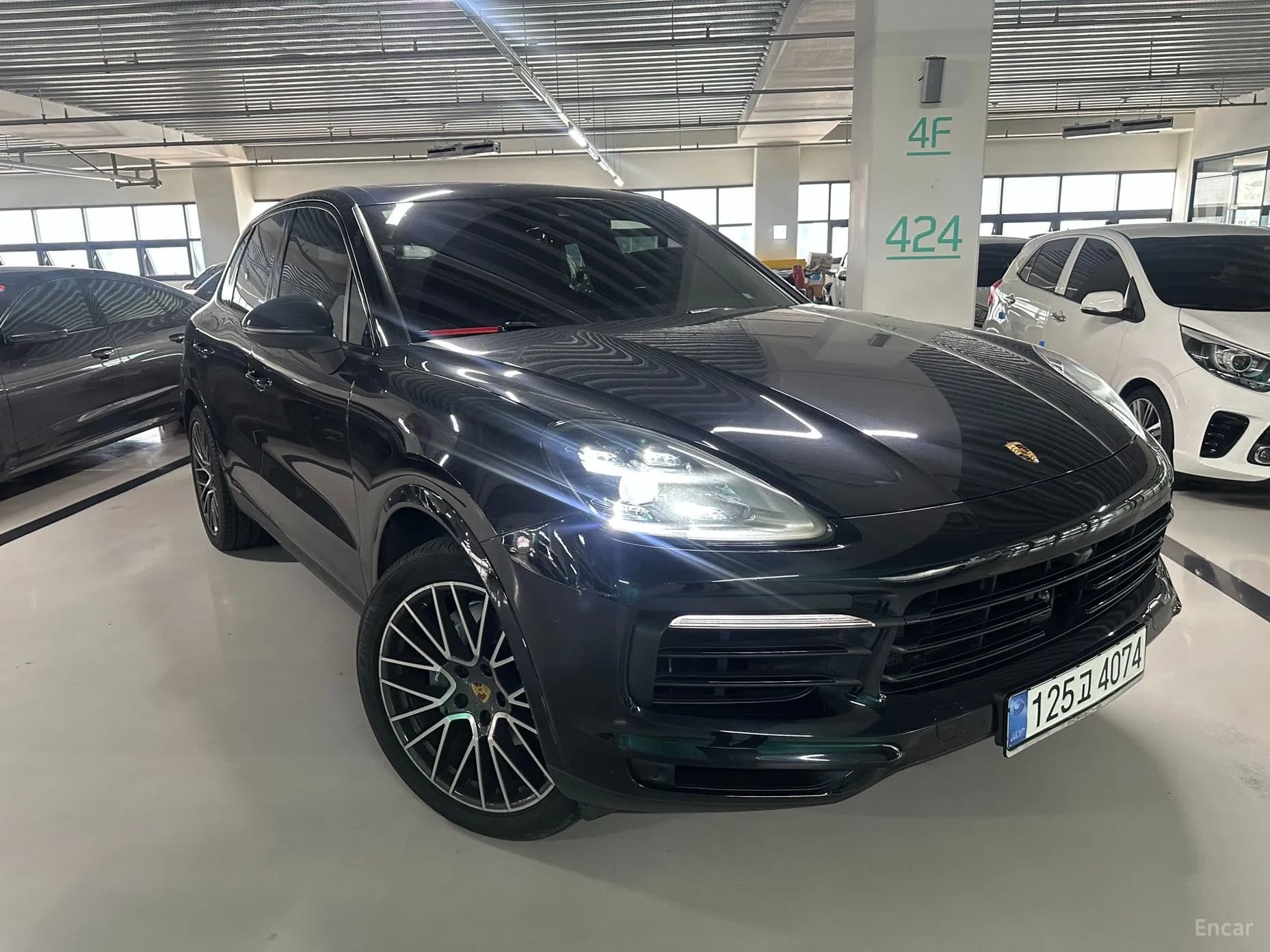 Cayenne (PO536)