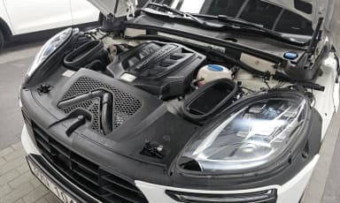 Macan