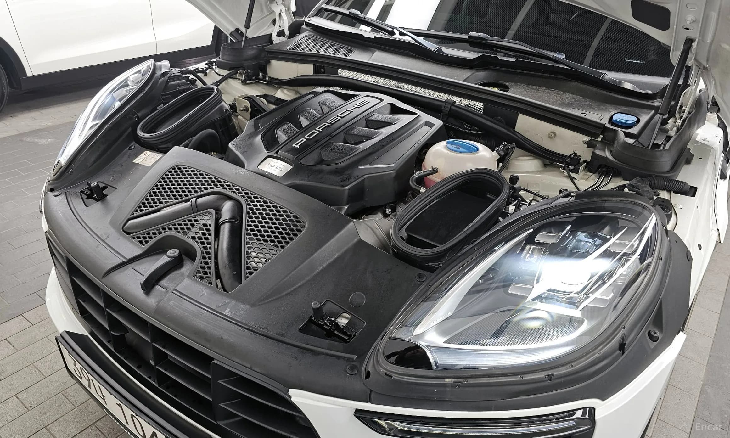 Macan